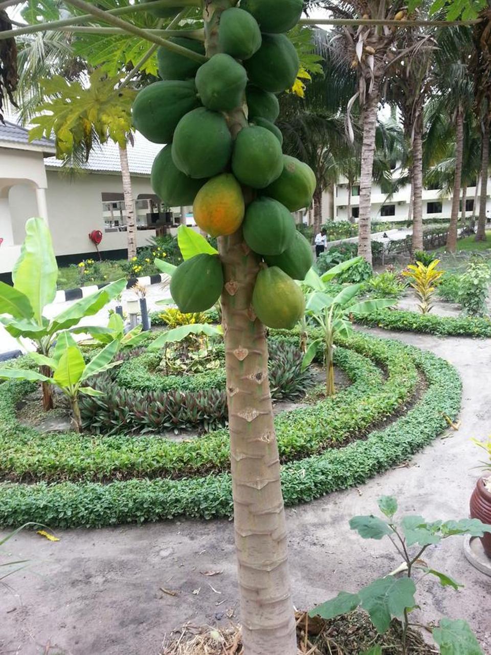 Oceanic Bay Hotel & Resort Bagamoyo Extérieur photo