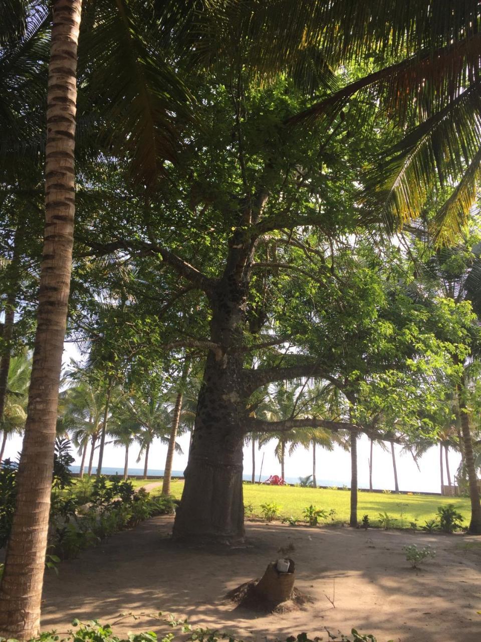 Oceanic Bay Hotel & Resort Bagamoyo Extérieur photo
